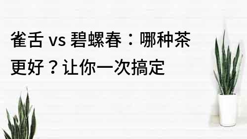 雀舌 vs 碧螺春：哪種茶更好？讓你一次搞定