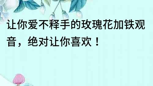 讓你愛不釋手的玫瑰花加鐵觀音，絕對讓你喜歡！