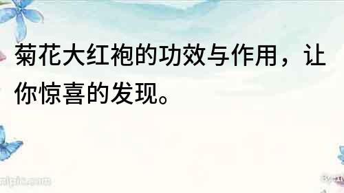 菊花大紅袍的功效與作用，讓你驚喜的發(fā)現(xiàn)。