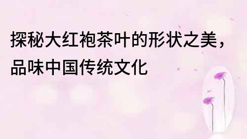 探秘大紅袍茶葉的形狀之美，品味中國傳統文化