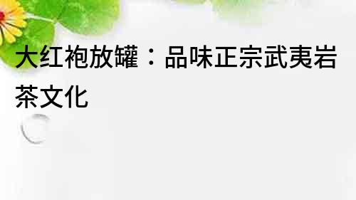 大紅袍放罐：品味正宗武夷巖茶文化