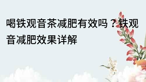 喝鐵觀音茶減肥有效嗎？鐵觀音減肥效果詳解