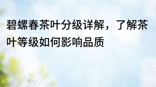 碧螺春茶葉分級(jí)詳解，了解茶葉等級(jí)如何影響品質(zhì)
