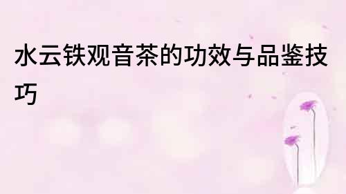 水云鐵觀音茶的功效與品鑒技巧