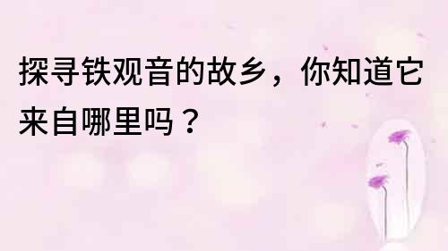 探尋鐵觀音的故鄉，你知道它來自哪里嗎？