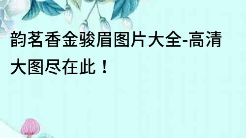 韻茗香金駿眉圖片大全-高清大圖盡在此！