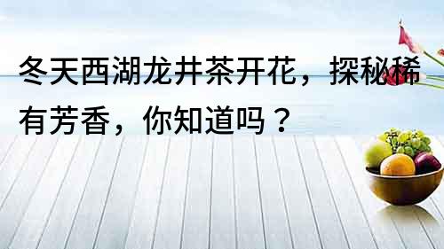 冬天西湖龍井茶開花，探秘稀有芳香，你知道嗎？
