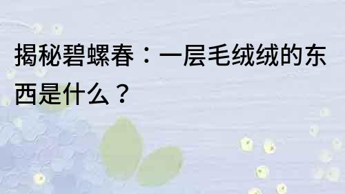 揭秘碧螺春：一層毛絨絨的東西是什么？