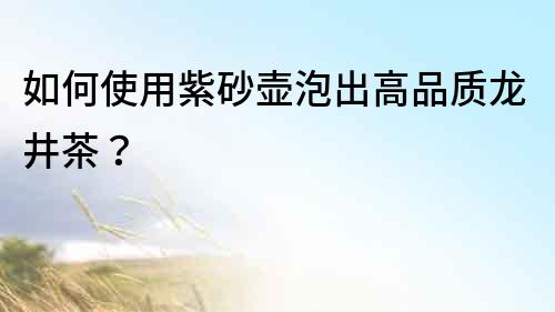 如何使用紫砂壺泡出高品質龍井茶？