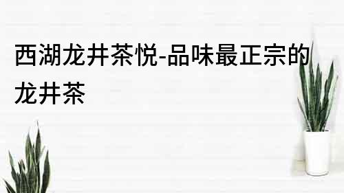 西湖龍井茶悅-品味最正宗的龍井茶