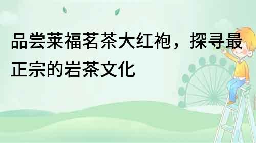 品嘗萊福茗茶大紅袍，探尋最正宗的巖茶文化