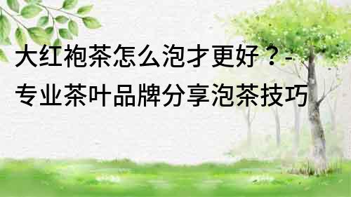 大紅袍茶怎么泡才更好？- 專業茶葉品牌分享泡茶技巧