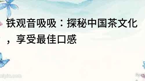 鐵觀音吸吸：探秘中國(guó)茶文化，享受最佳口感