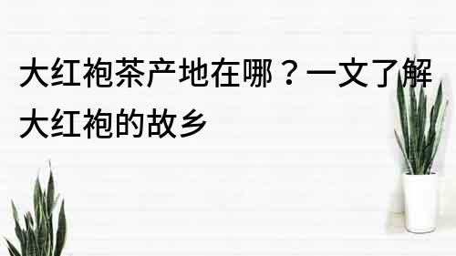 大紅袍茶產(chǎn)地在哪？一文了解大紅袍的故鄉(xiāng)