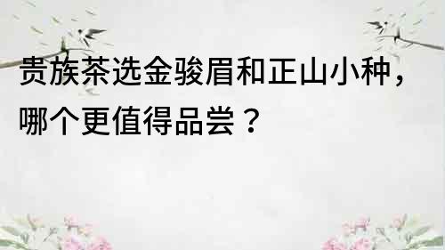 貴族茶選金駿眉和正山小種，哪個更值得品嘗？