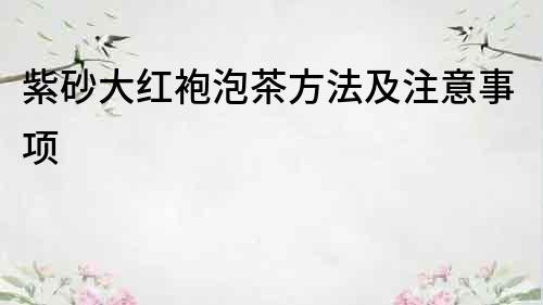 紫砂大紅袍泡茶方法及注意事項