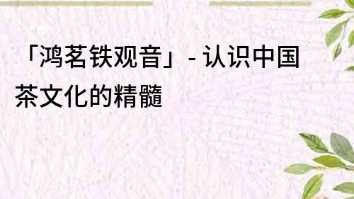 「鴻茗鐵觀音」- 認(rèn)識(shí)中國茶文化的精髓