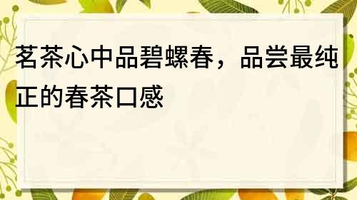 茗茶心中品碧螺春，品嘗最純正的春茶口感