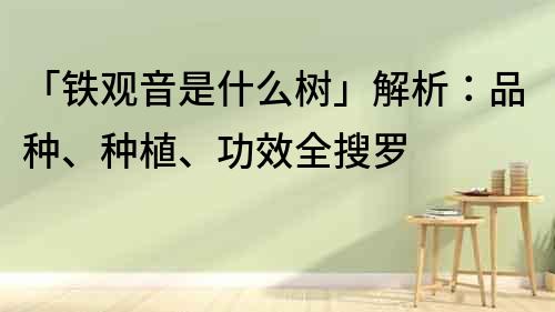 「鐵觀音是什么樹(shù)」解析：品種、種植、功效全搜羅