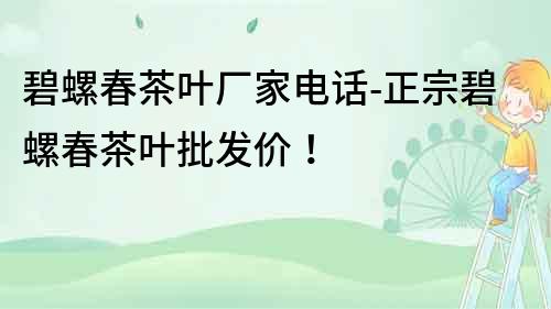 碧螺春茶葉廠家電話-正宗碧螺春茶葉批發價！