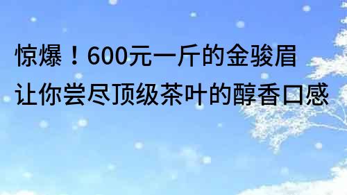 驚爆！600元一斤的金駿眉讓你嘗盡頂級茶葉的醇香口感