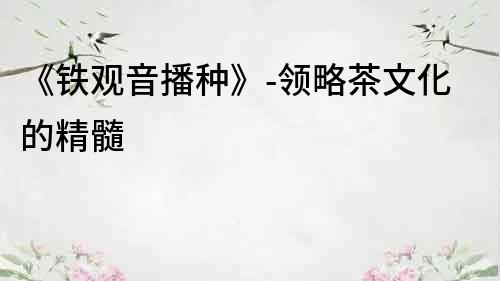 《鐵觀音播種》-領略茶文化的精髓