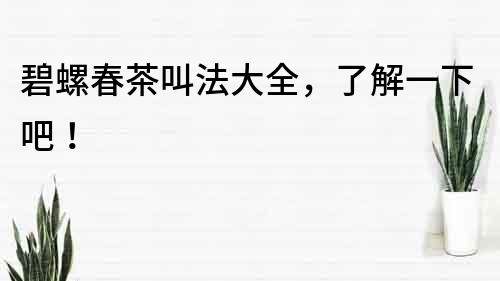碧螺春茶叫法大全，了解一下吧！