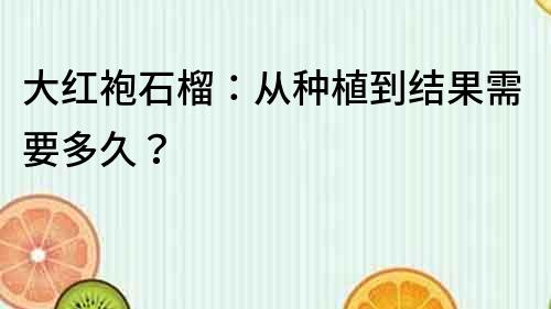 大紅袍石榴：從種植到結果需要多久？