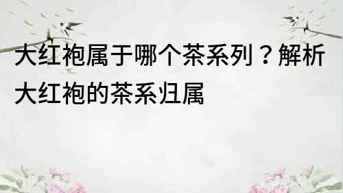大紅袍屬于哪個茶系列？解析大紅袍的茶系歸屬