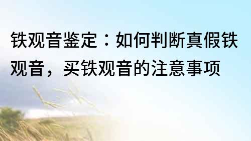鐵觀音鑒定：如何判斷真假鐵觀音，買鐵觀音的注意事項
