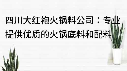 四川大紅袍火鍋料公司：專業提供優質的火鍋底料和配料