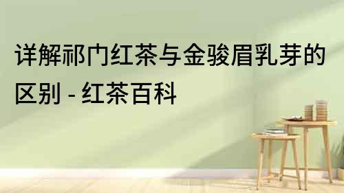 詳解祁門紅茶與金駿眉乳芽的區(qū)別 - 紅茶百科