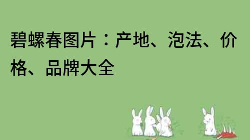 碧螺春圖片：產(chǎn)地、泡法、價格、品牌大全