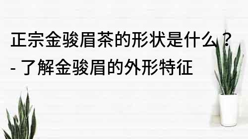 正宗金駿眉茶的形狀是什么？- 了解金駿眉的外形特征