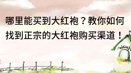 哪里能買到大紅袍？教你如何找到正宗的大紅袍購買渠道！