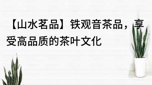 【山水茗品】鐵觀音茶品，享受高品質的茶葉文化