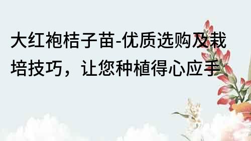 大紅袍桔子苗-優(yōu)質(zhì)選購及栽培技巧，讓您種植得心應(yīng)手