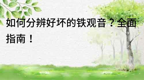 如何分辨好壞的鐵觀音？全面指南！