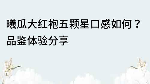 曦瓜大紅袍五顆星口感如何？品鑒體驗分享