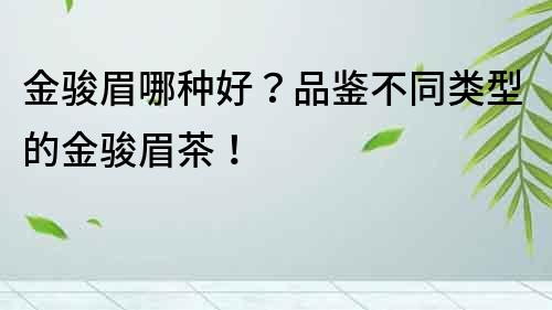 金駿眉哪種好？品鑒不同類型的金駿眉茶！