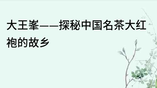 大王峯——探秘中國(guó)名茶大紅袍的故鄉(xiāng)