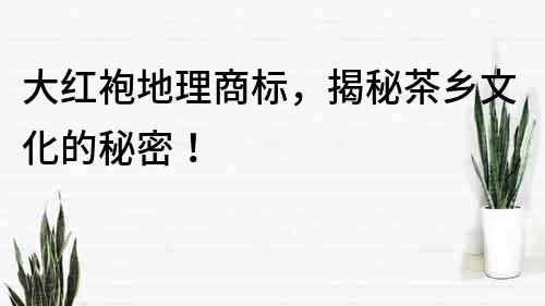 大紅袍地理商標(biāo)，揭秘茶鄉(xiāng)文化的秘密！
