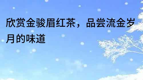 欣賞金駿眉紅茶，品嘗流金歲月的味道