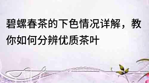 碧螺春茶的下色情況詳解，教你如何分辨優質茶葉