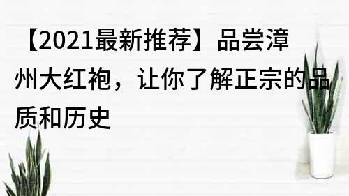【2022最新推薦】品嘗漳州大紅袍，讓你了解正宗的品質和歷史