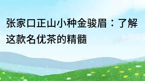 張家口正山小種金駿眉：了解這款名優茶的精髓