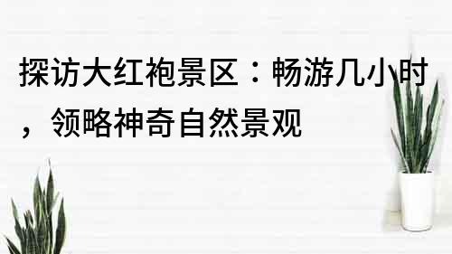 探訪大紅袍景區：暢游幾小時，領略神奇自然景觀