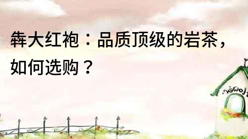 犇大紅袍：品質頂級的巖茶，如何選購？