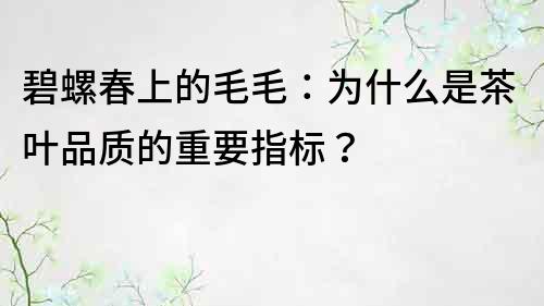 碧螺春上的毛毛：為什么是茶葉品質的重要指標？