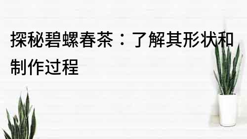 探秘碧螺春茶：了解其形狀和制作過程